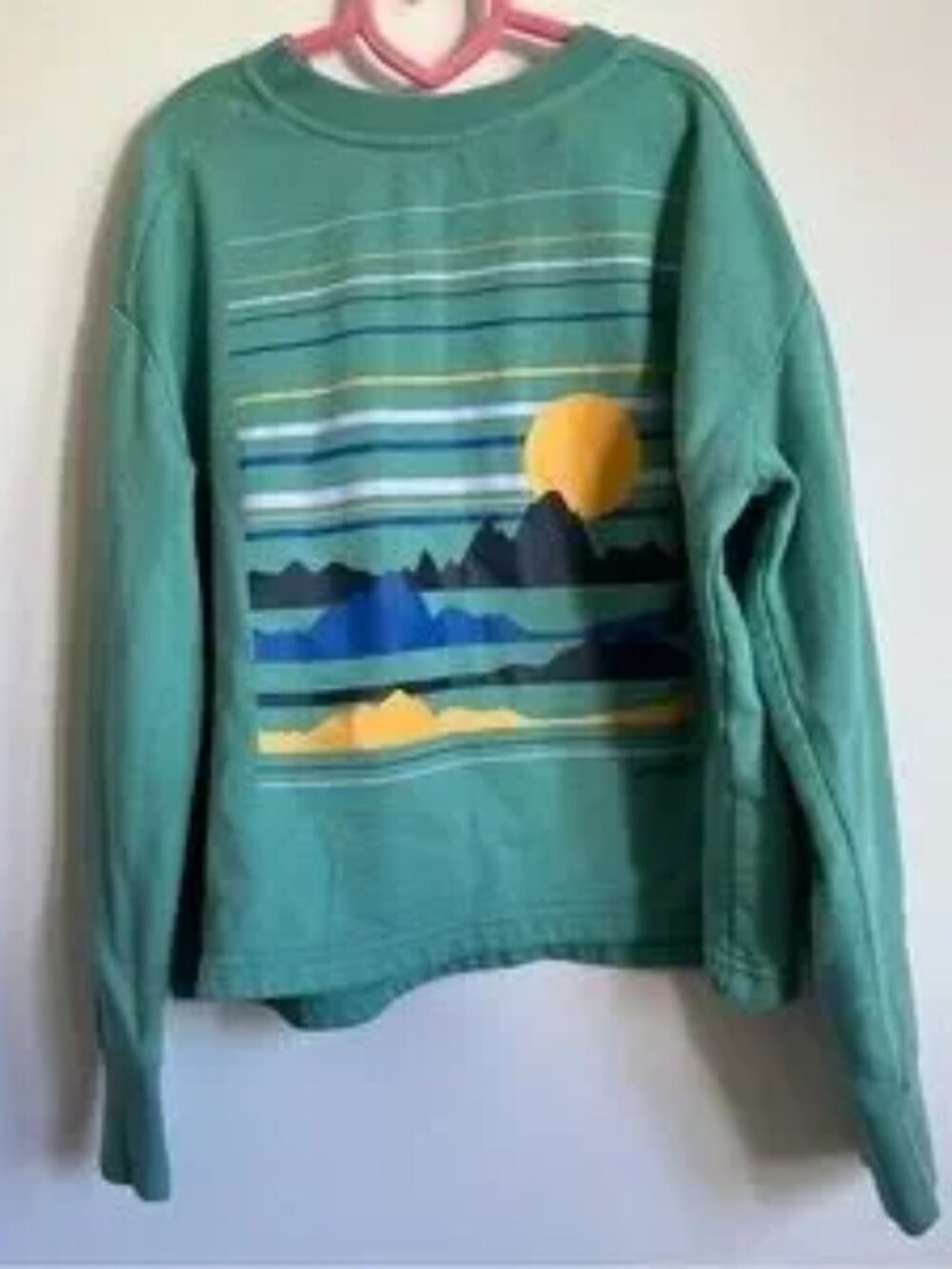 Patagonia Kids Girls Boys Graphic Pullover Crewneck Fleece Sweater - M Medium